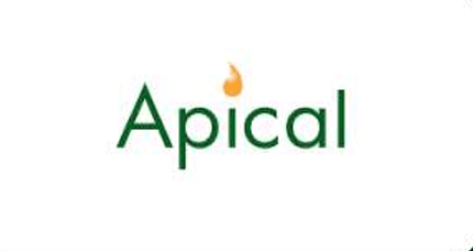 Apical